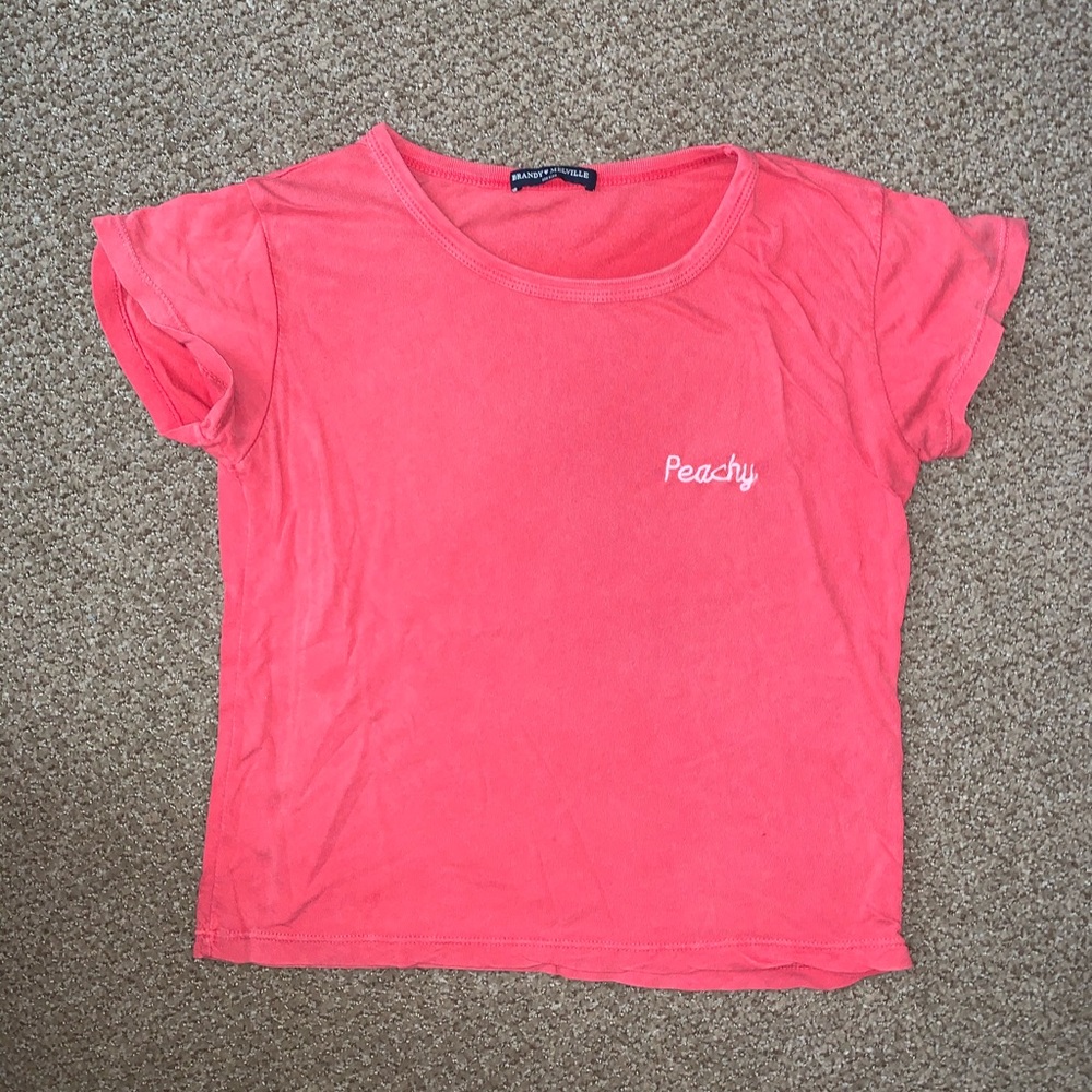 Brandy Melville Crop Tee